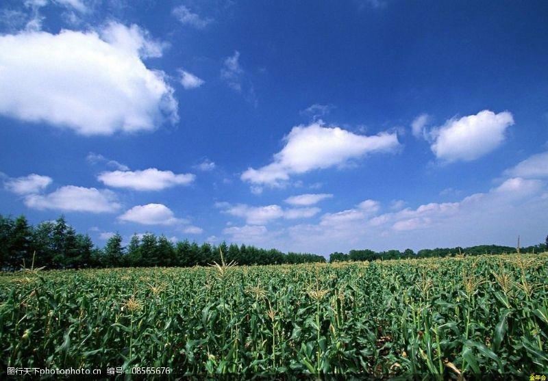 水泥砂漿防腐鋼管廠商(水泥砂漿防腐鋼管廠商有哪些) 水泥砂漿防腐鋼管廠商(水泥砂漿防腐鋼管廠商有哪些)