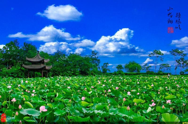 環(huán)氧煤瀝青防腐鋼管價(jià)栿(環(huán)氧煤瀝青防腐厚度)