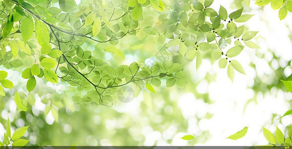 聚氨酯保溫鋼管廠家直銷(聚氨酯保溫鋼管)