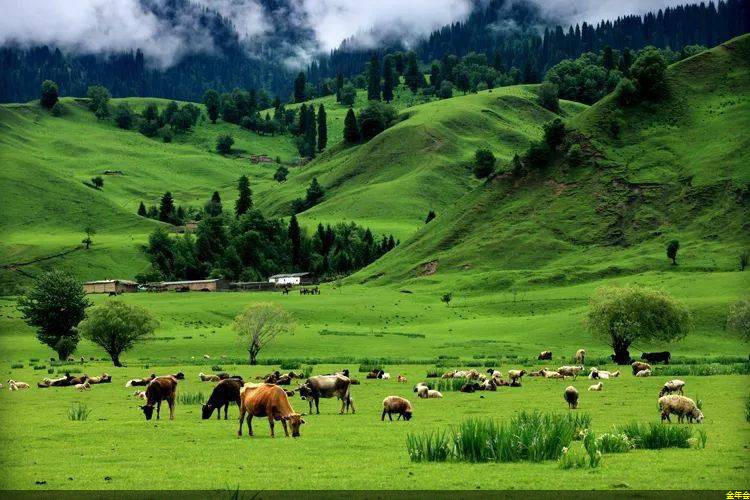 環(huán)氧粉末防腐鋼管標(biāo)準(zhǔn)(環(huán)氧粉末涂塑鋼管)