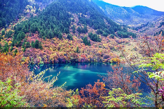 聚氨酯保溫鋼管介紹(聚氨酯保溫噴涂多少錢一平方)