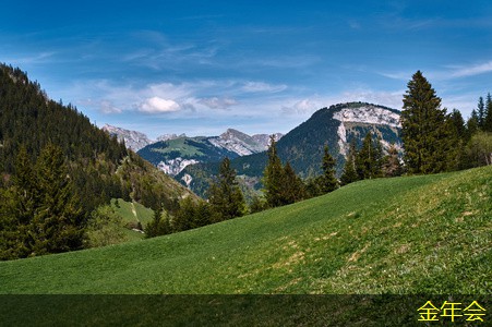 tpep防腐鋼管的技術支持與服務