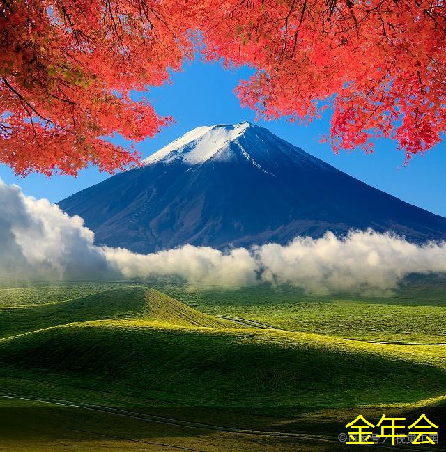 tpep防腐鋼管的設(shè)計創(chuàng)新探討