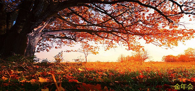 水泥砂漿防腐鋼管的優(yōu)勢與劣勢