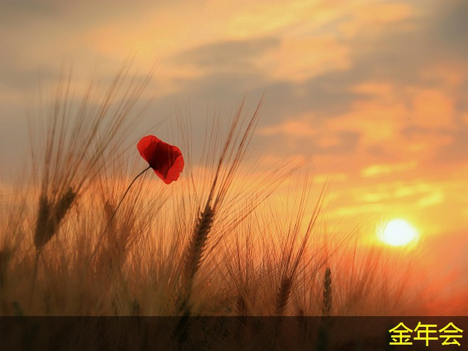 水泥砂漿防腐鋼管的檢測(cè)方法 水泥砂漿防腐鋼管的檢測(cè)方法