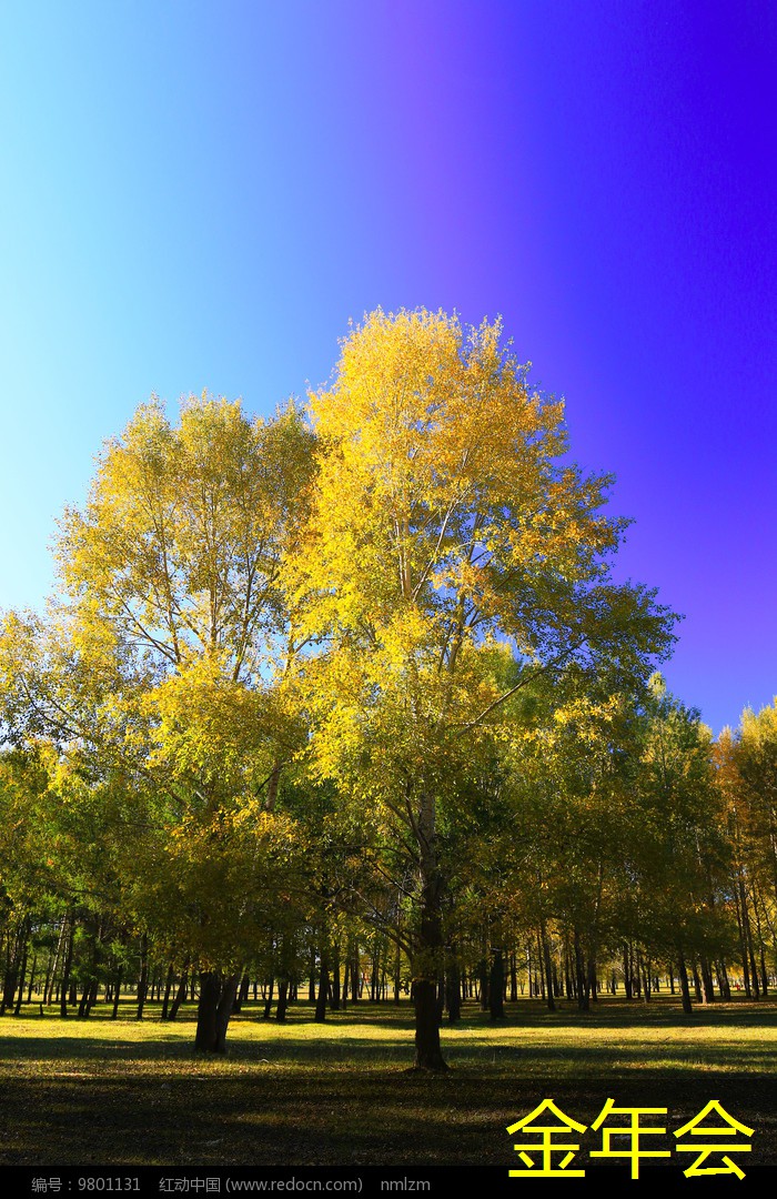 涂塑鋼管的施工工藝優(yōu)化