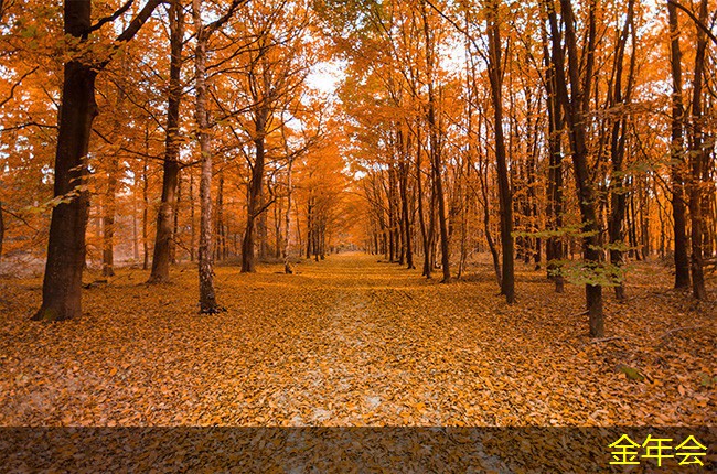 涂塑鋼管的使用環(huán)境適應(yīng)性