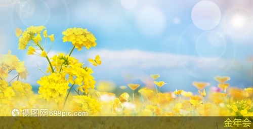 涂塑鋼管的承載能力研究