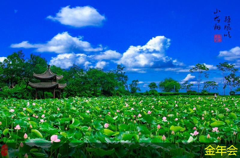 涂塑鋼管的市場(chǎng)需求預(yù)測(cè) 涂塑鋼管的市場(chǎng)需求預(yù)測(cè)