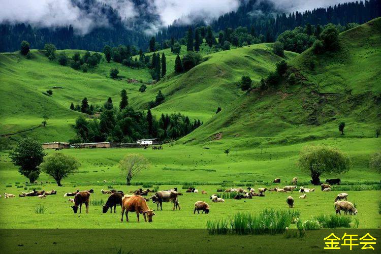 涂塑鋼管的施工工藝優(yōu)化