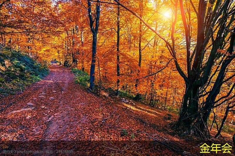 環(huán)氧煤瀝青防腐鋼管的市場需求變化