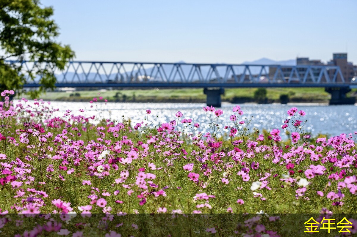 環(huán)氧煤瀝青防腐鋼管的市場行情分析