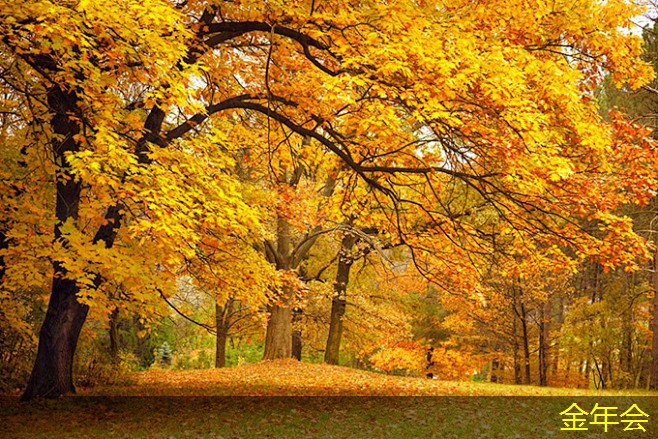 環(huán)氧煤瀝青防腐鋼管的涂層施工要領(lǐng) 環(huán)氧煤瀝青防腐鋼管的涂層施工要領(lǐng)