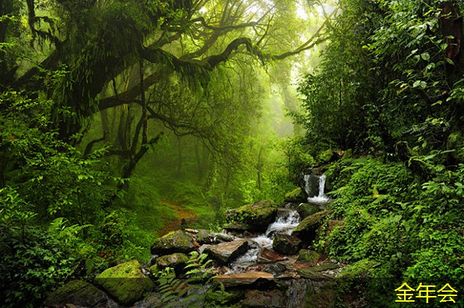 環(huán)氧煤瀝青防腐鋼管的涂層施工要領(lǐng) 環(huán)氧煤瀝青防腐鋼管的涂層施工要領(lǐng)