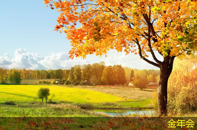 環(huán)氧煤瀝青防腐鋼管的防腐層選擇標(biāo)準(zhǔn)