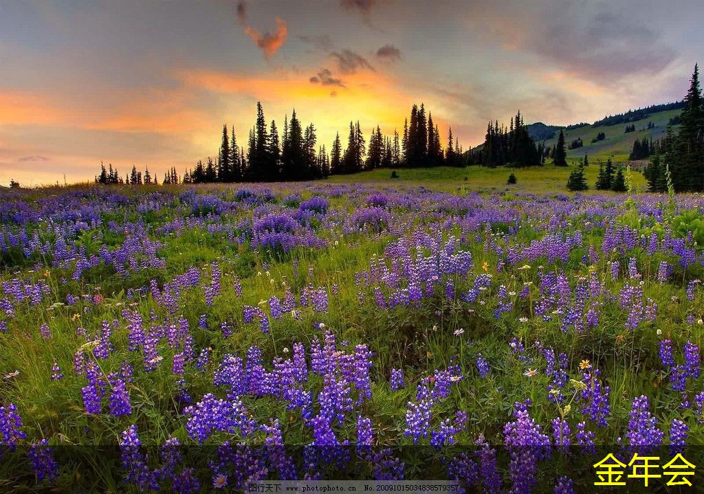 環(huán)氧粉末防腐鋼管標(biāo)準(zhǔn)化的行業(yè)應(yīng)用效果