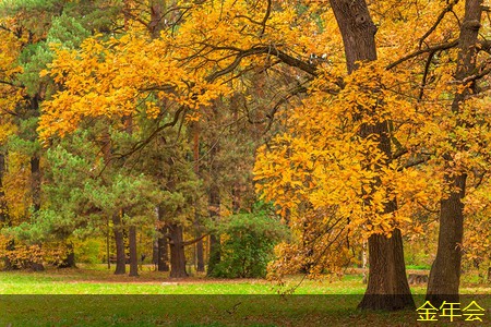 環(huán)氧粉末防腐鋼管標(biāo)準(zhǔn)的制定過程詳解