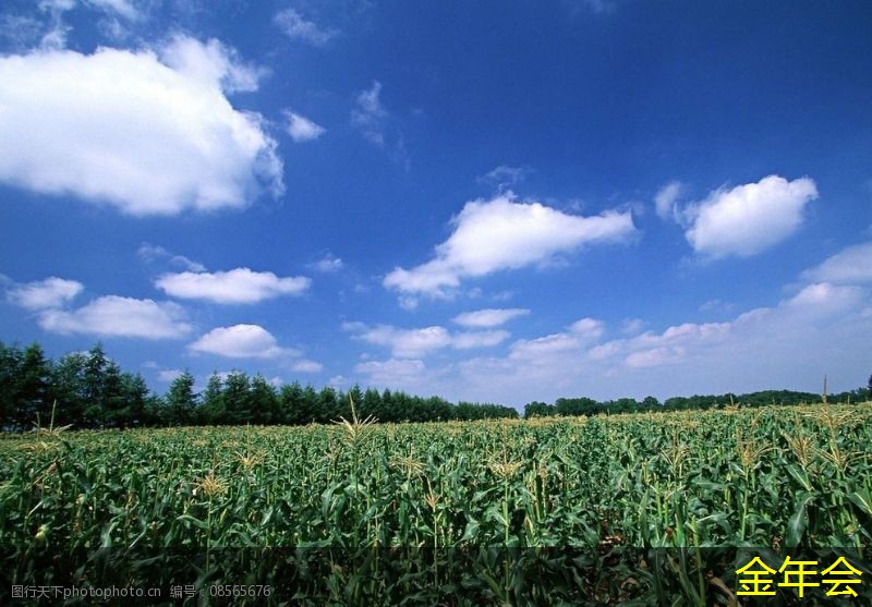 環(huán)氧粉末防腐鋼管的標(biāo)準(zhǔn)化應(yīng)用效果評(píng)估 環(huán)氧粉末防腐鋼管的標(biāo)準(zhǔn)化應(yīng)用效果評(píng)估