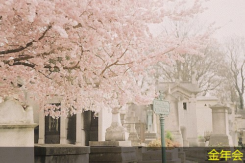 環(huán)氧粉末防腐鋼管的檢測與認證