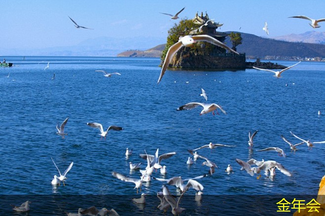 環(huán)氧粉末防腐鋼管的生產(chǎn)標(biāo)準(zhǔn)實(shí)施要點(diǎn)