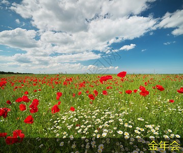 環(huán)氧粉末防腐鋼管的維護(hù)和保養(yǎng)建議 環(huán)氧粉末防腐鋼管的維護(hù)和保養(yǎng)建議