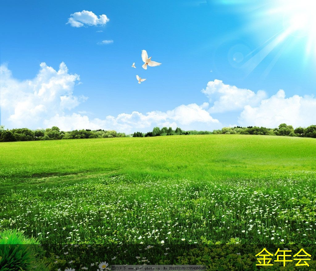 環(huán)氧粉末防腐鋼管的耐化學(xué)性測(cè)試