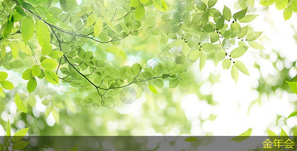 環(huán)氧粉末防腐鋼管質(zhì)量標(biāo)準(zhǔn)的實(shí)施指南